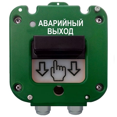 УТ000049279