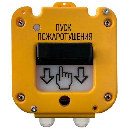 УТ000049281